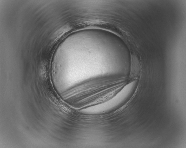 X0000076301305200610201533