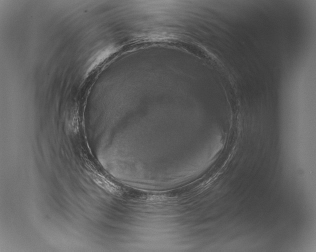 X0000076301306200610201533