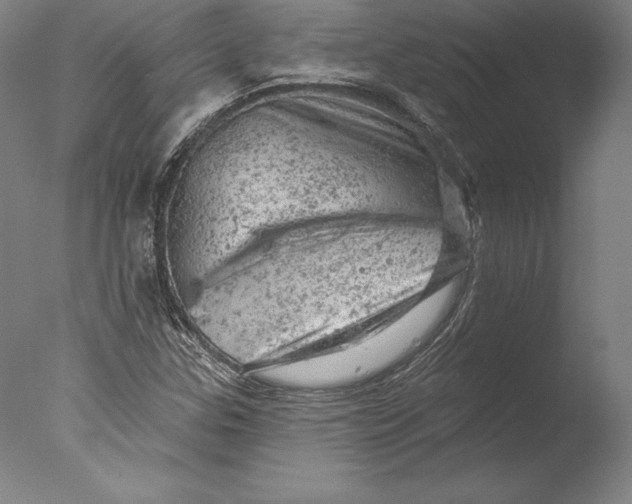 X0000076301307200610201533