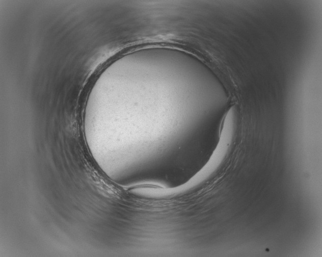 X0000076301308200610201533