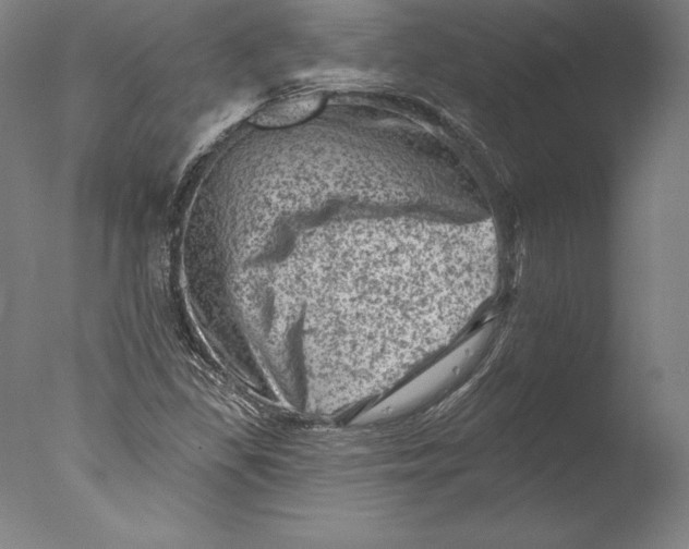 X0000076301309200610201533