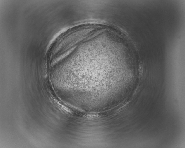 X0000076301310200610201533