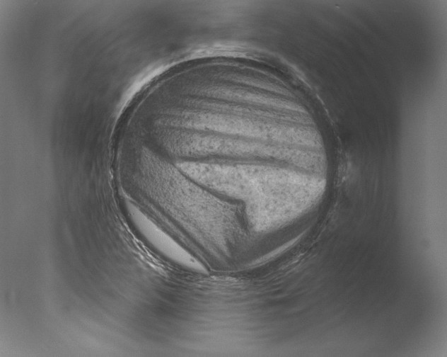 X0000076301312200610201533