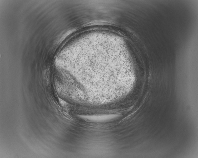 X0000076301313200610201533