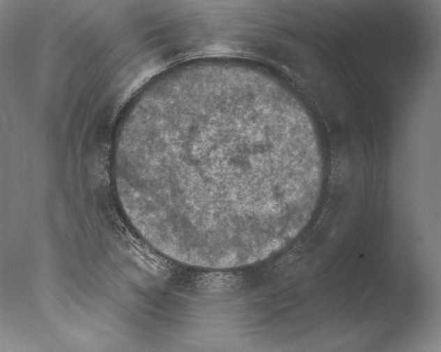 X0000076301314200610201533