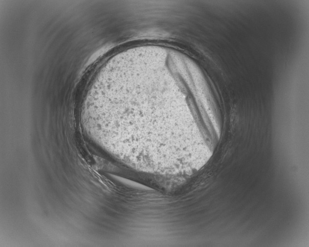 X0000076301315200610201533