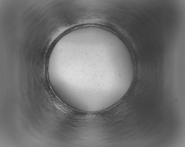 X0000076301316200610201533