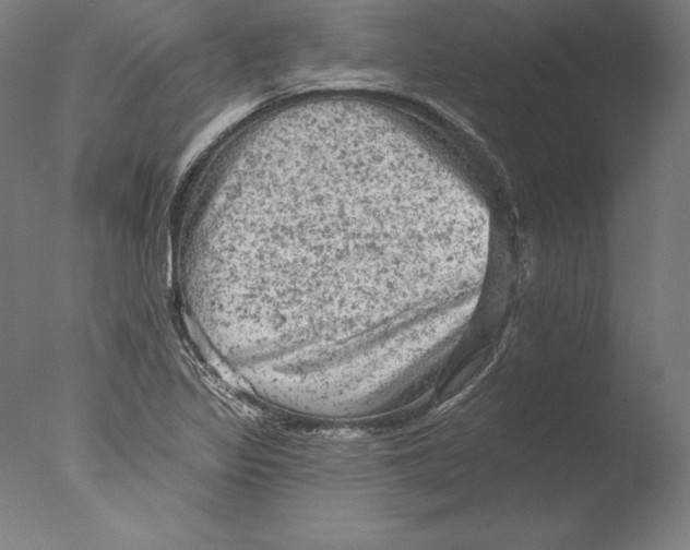 X0000076301317200610201533