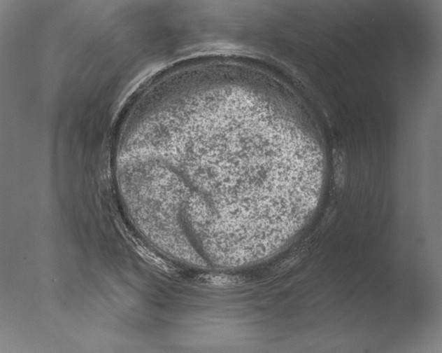 X0000076301318200610201533