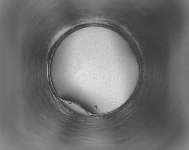 X0000076301320200610201534