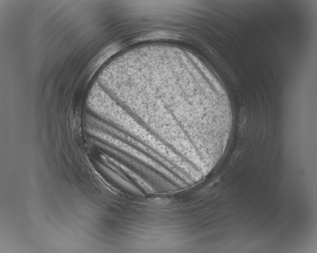 X0000076301321200610201534