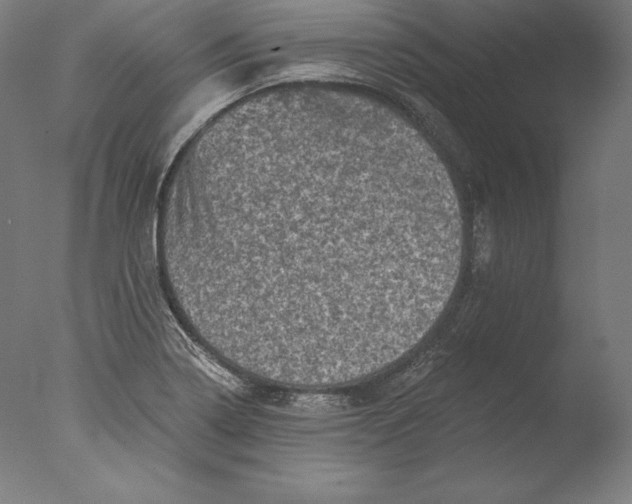 X0000076301322200610201534