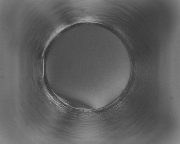 X0000076301323200610201534