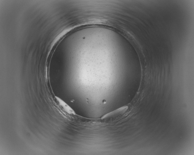 X0000076301324200610201534