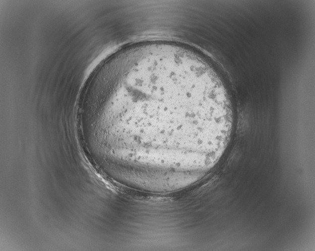 X0000076301325200610201534