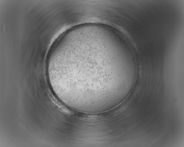 X0000076301326200610201534