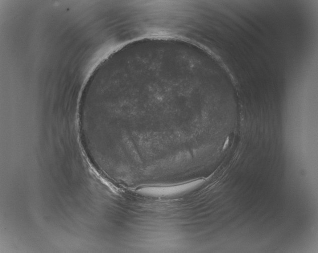 X0000076301327200610201534