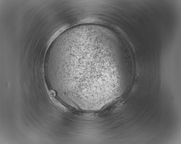 X0000076301330200610201534