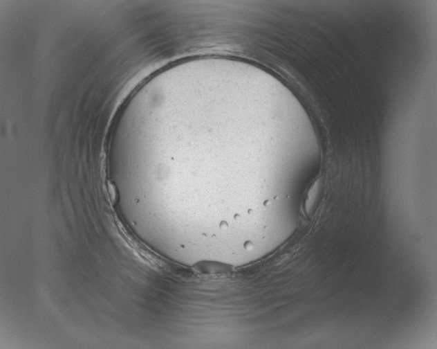 X0000076301332200610201534