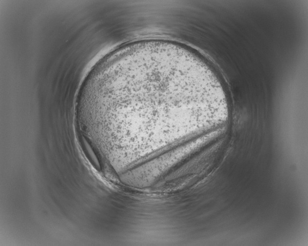 X0000076301333200610201534