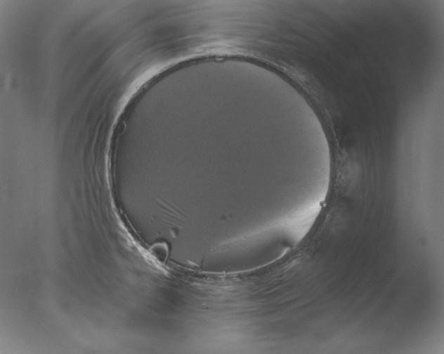 X0000076301334200610201534