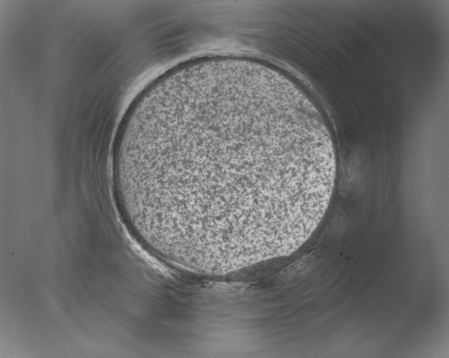 X0000076301335200610201534