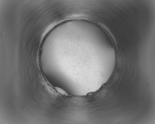 X0000076301336200610201534