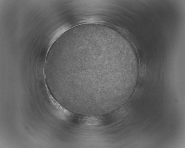 X0000076301338200610201534