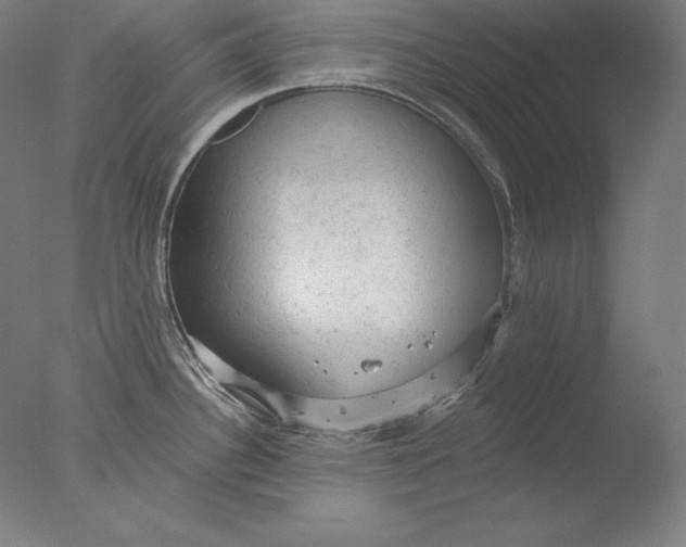 X0000076301340200610201534