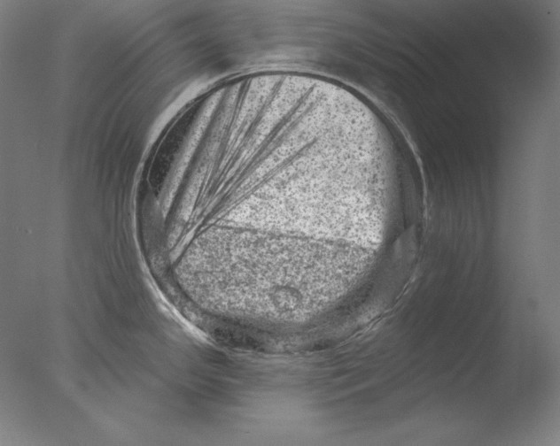 X0000076301341200610201534