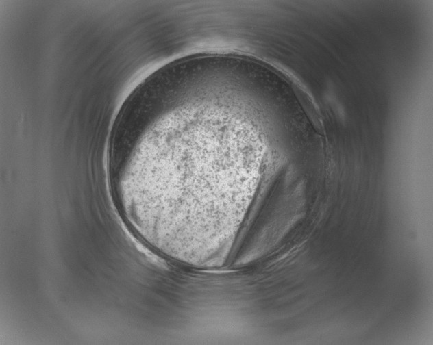 X0000076301343200610201534