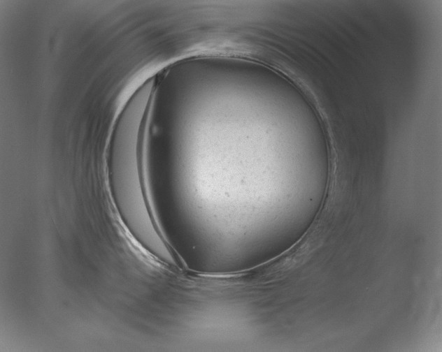 X0000076301344200610201534