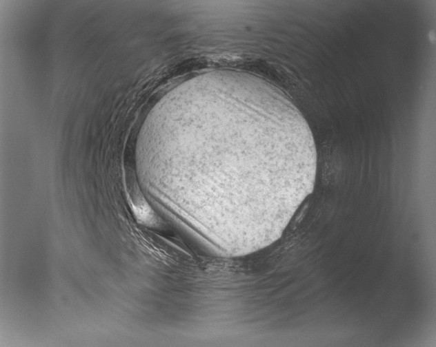 X0000076301345200610201533