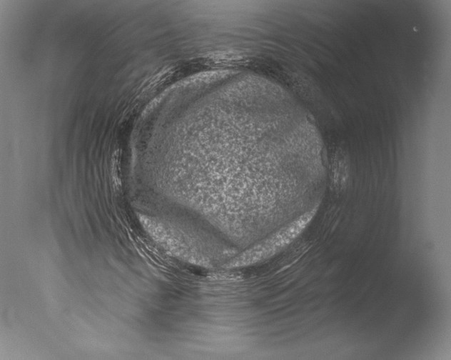 X0000076301346200610201533