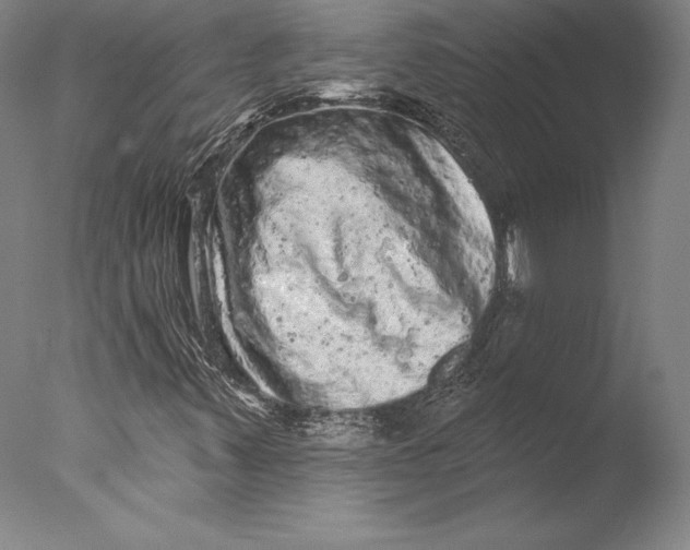 X0000076301347200610201533