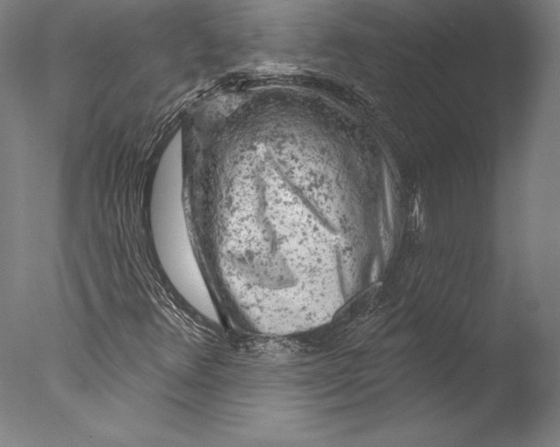 X0000076301348200610201533