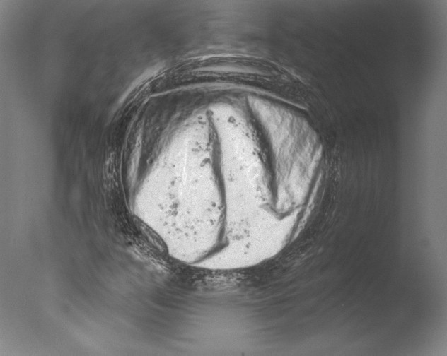 X0000076301351200610201533