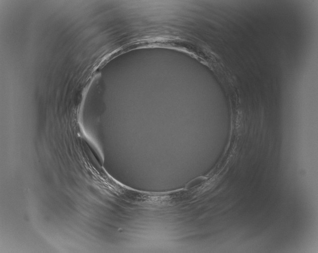 X0000076301353200610201533