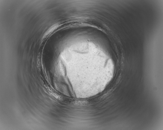 X0000076301354200610201533