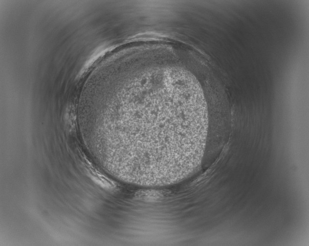 X0000076301355200610201533