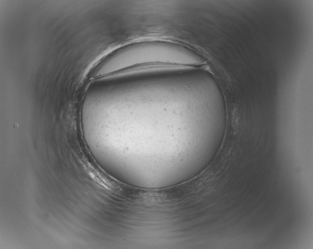 X0000076301356200610201533