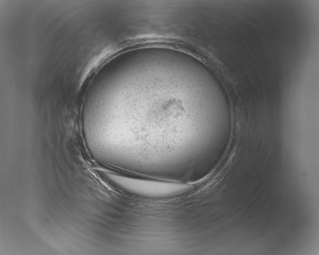 X0000076301357200610201533