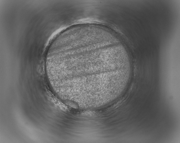 X0000076301358200610201533