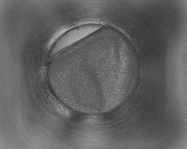 X0000076301359200610201533