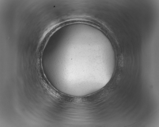 X0000076301360200610201533