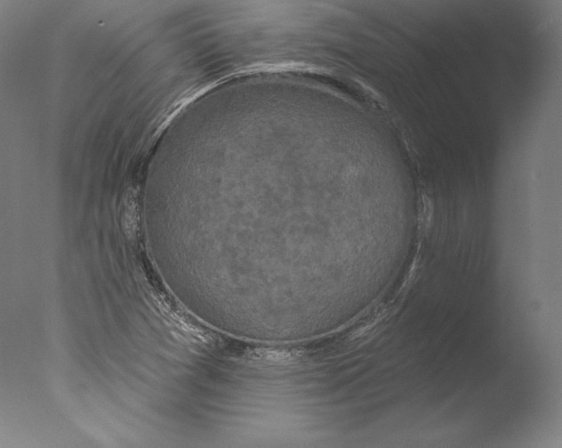 X0000076301361200610201533