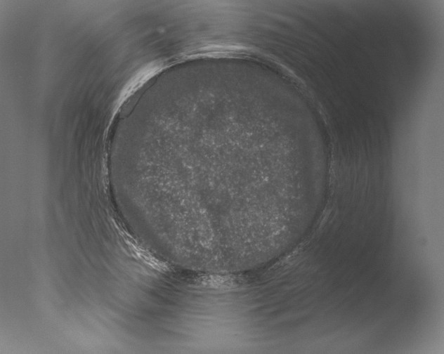 X0000076301362200610201533