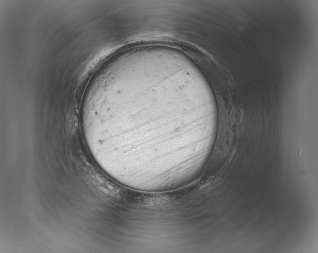 X0000076301363200610201533