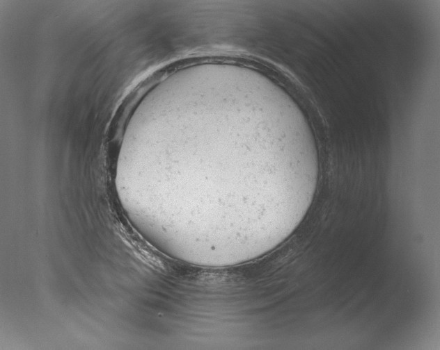 X0000076301364200610201533