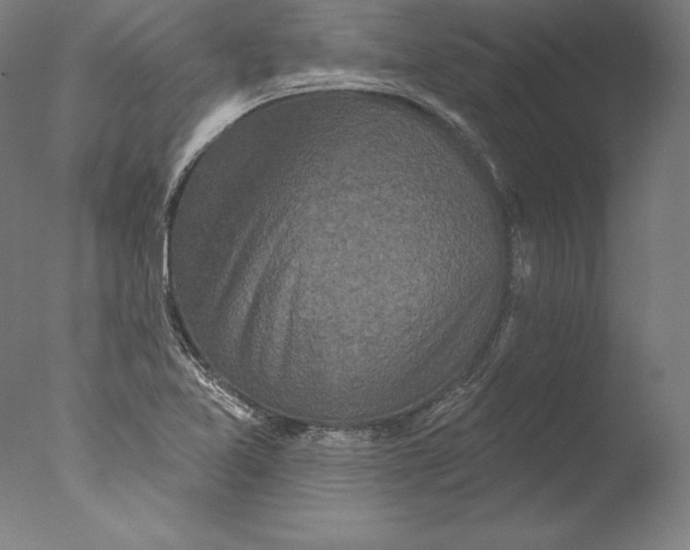 X0000076301365200610201533